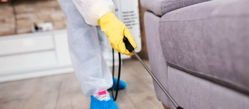bed bug detection nyc - First Response Bedbug Dogs